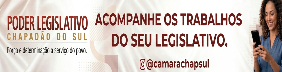 CAMARA CHAP SUL