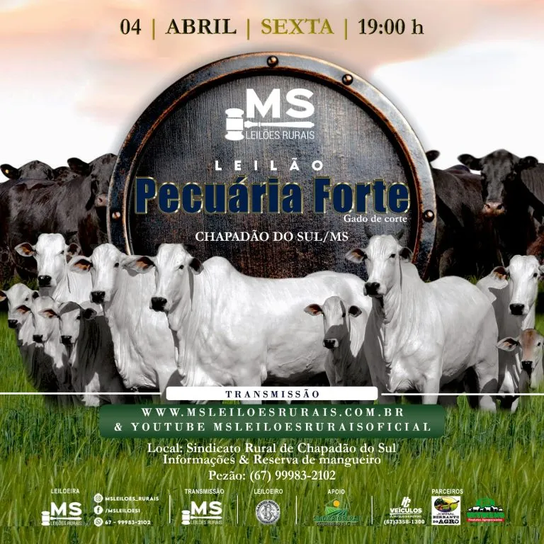 Leilão Pecuária Forte – Gado de Corte no Sindicato Rural de Chapadão do Sul
