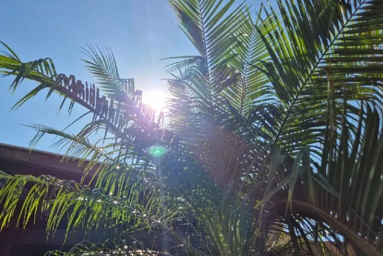Cai a temperatura no sul do Brasil, mas no norte e nordeste de MS segue calor durante o dia