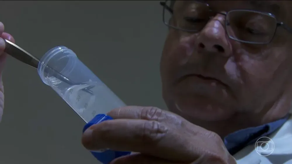 Cientistas testam primeira soja editada geneticamente no Brasil