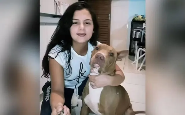 Pit bull mata tutora dentro de casa em Goiás