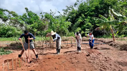 Vereadora Rosângela Marçal propõe implantação de Escola Agrícola