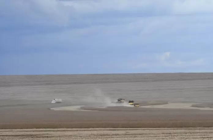 MS se destaca como possível fornecedor estratégico de soja para os chineses