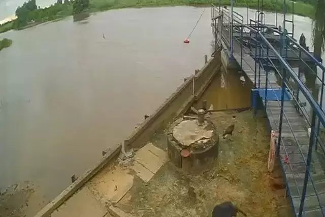 Cunhado encontra corpo de caseiro atacado por onça no Pantanal de MS