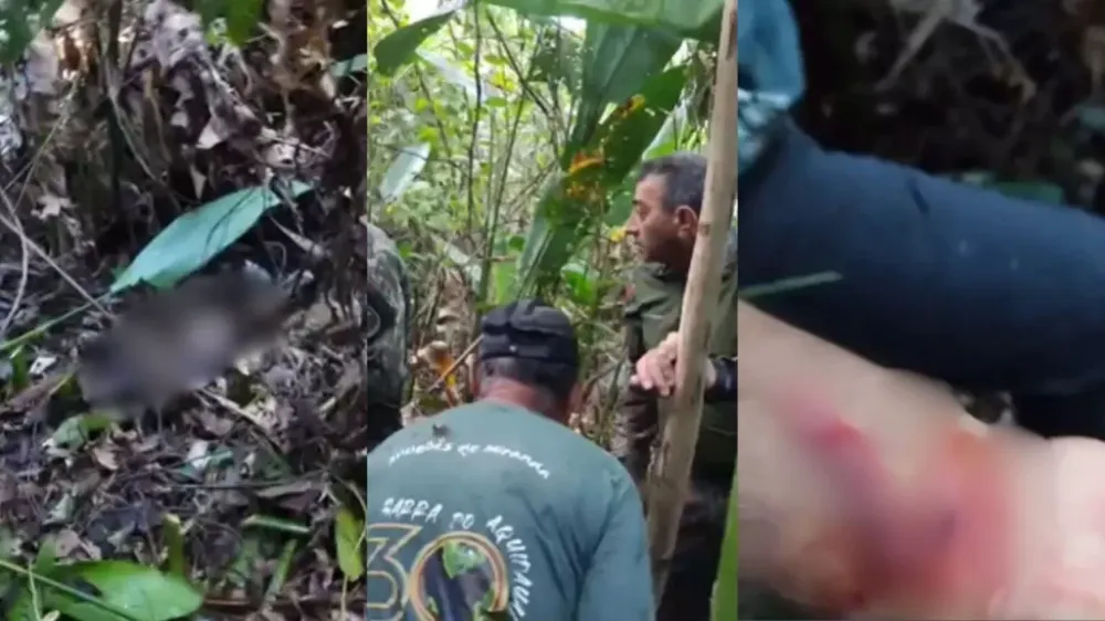 Onça avança em equipe e fere outro homem durante resgate do corpo de caseiro no Pantanal