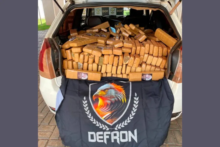 Polícia Civil apreende cerca de 700 kg de maconha no interior de MS