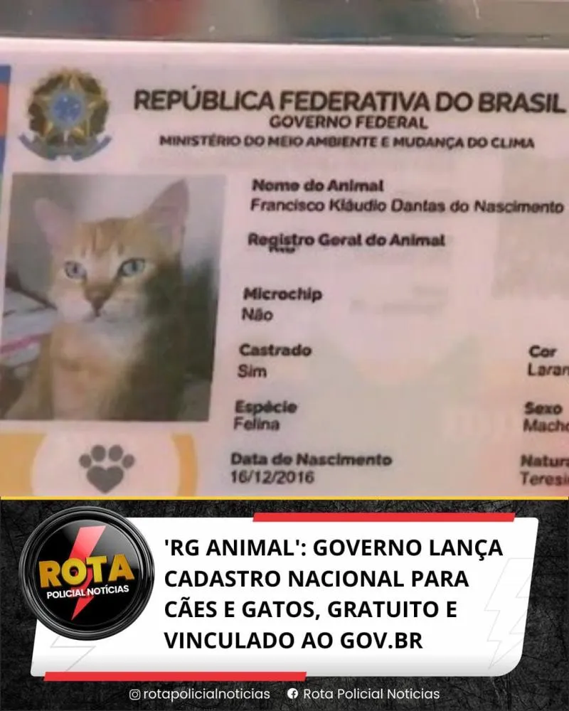 RG ANIMAL': GOVERNO LANÇA CADASTRO NACIONAL PARA CÃES E GATOS, GRATUITO E VINCULADO AO GOV.BR