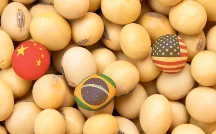 Soja recua em Chicago nesta 2ª feira, pressionada pelo financeiro e realizando lucros da semana anterior