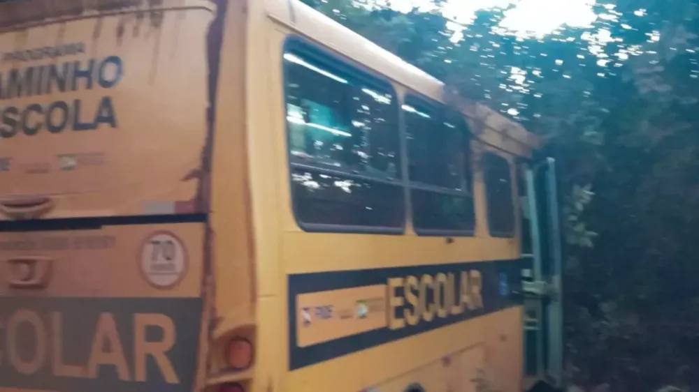Aparecida do Taboado: Micro-ônibus com 18 alunos sai da pista e bate em barranco na MS-316