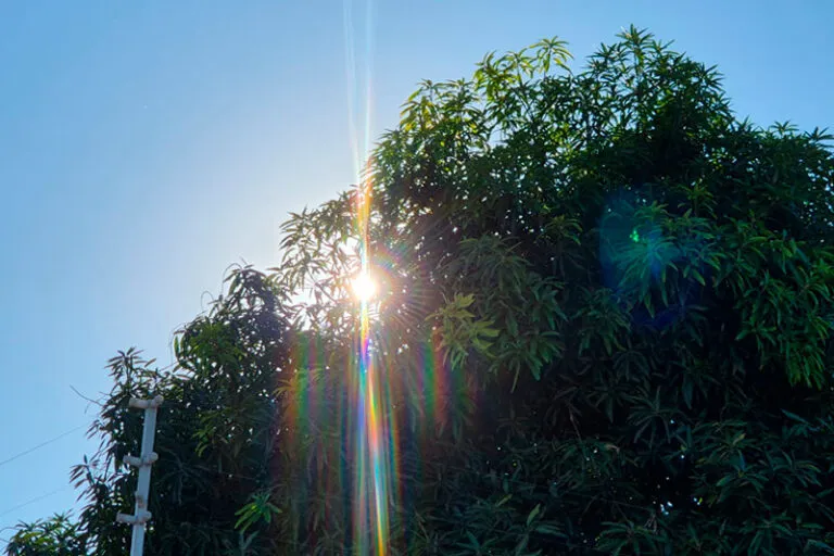 Dia ensolarado em grande parte do MS nesta quarta-feira (14)