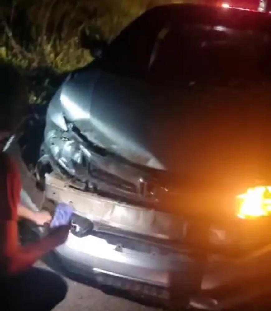 Paraisense colide com anta na BR-060 próximo a Camapuã