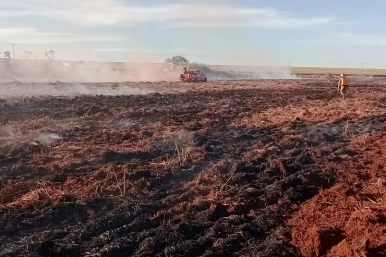 Bombeiros e Prefeitura controlam incêndio em vegetação na cidade de Chapadão do Sul