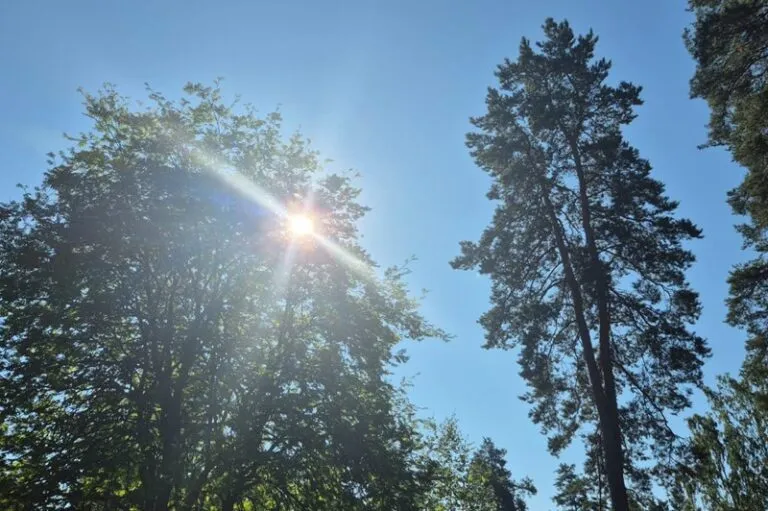 Frente fria provoca diminuição da temperatura em Mato Grosso do Sul