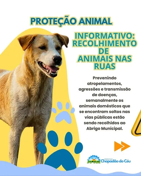 Cuidado e Respeito aos Animais