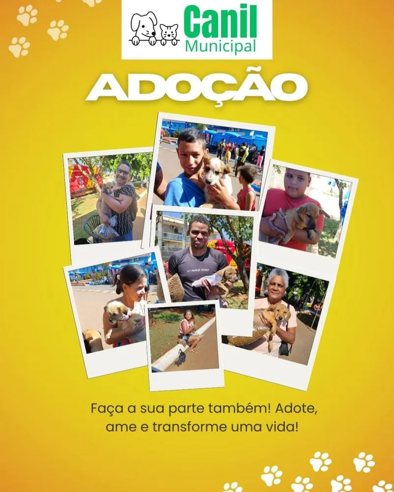 CANIL MUNICIPAL PRESENTE NO “MEU BAIRRO É SHOW”! 