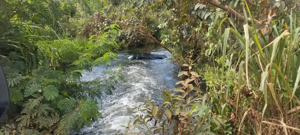 Carro Cai Dentro do Rio Água Amarela e Fica Quase Submerso: Bombeiros Não Encontram Vítimas