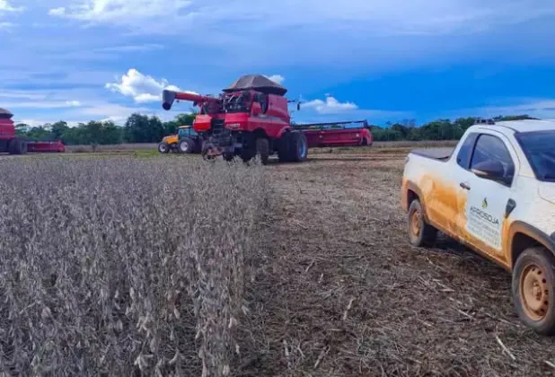 Colheita da soja em MS atinge 67,5% da área cultivada