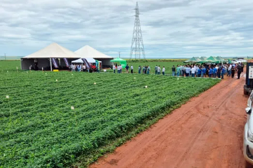Produção agrícola de Mato Grosso do Sul deve chegar a 75,3 milhões de toneladas na safra 2024/25