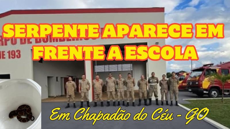 SERPENTE APARECE EM FRENTE A ESCOLA EM CHAPADÃO DO CÉU E É CAPTURADA POR BOMBEIROS